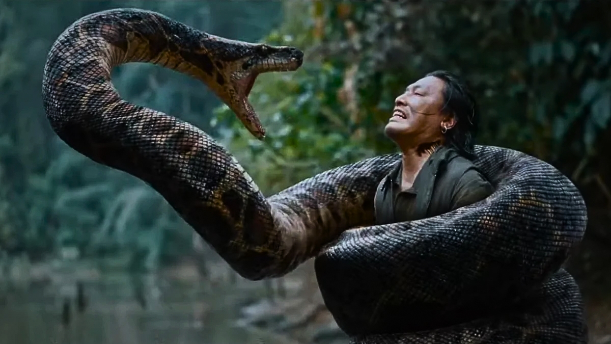 Anaconda - PNN